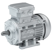 Lenze IE3 m550-P three-phase AC motors for inverter operation